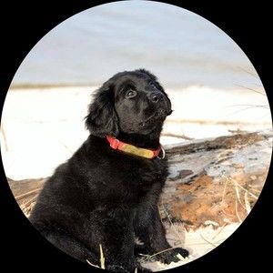 Meet your Posher, Ann